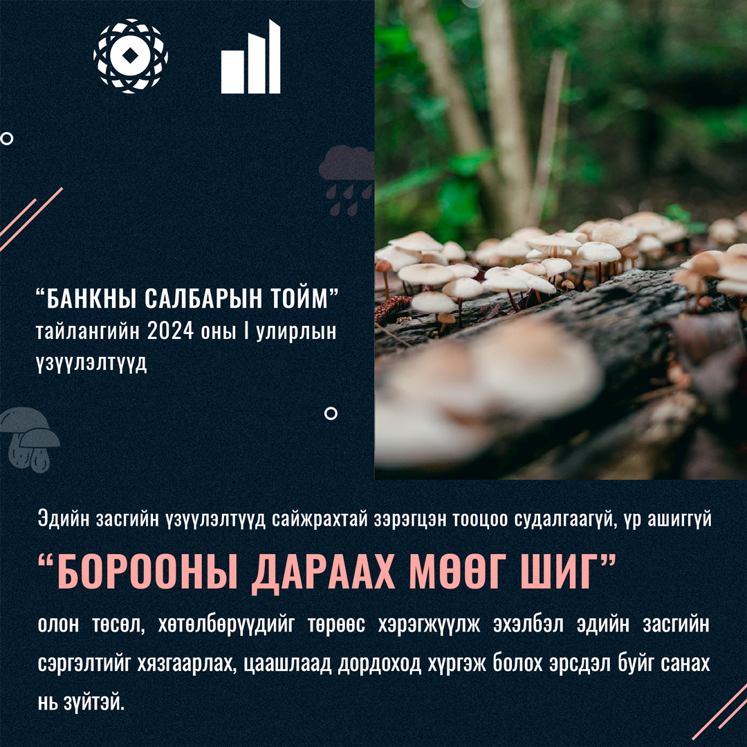 Банкны салбарын тойм: Борооны дараах мөөг шиг…