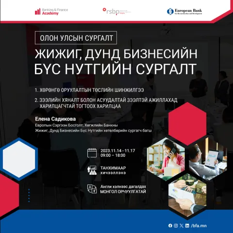 БЖБ-ийн зээл: мэдээллийг тулган баталгаажуулах, санхүүгийн харьцааны шинжилгээ